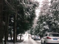 -武陵山森林公园