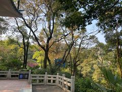 -广州市白云山风景名胜区