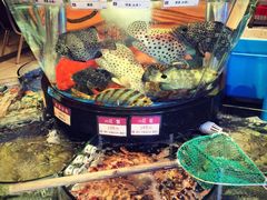 iphone_upload_pic-陶陶居海鲜酒家(新马路店)