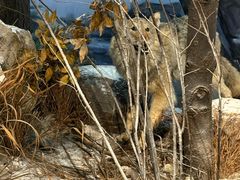 -陕西自然博物馆