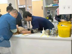 -康成宠物医院24H·CT·核磁共振