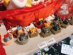 -猫咪博物馆(顶澳仔猫街店)