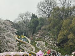 -杭州少年儿童公园