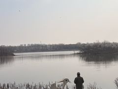 -丁香湖公园