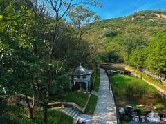 -白水寺森林公园