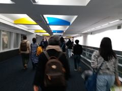 -约翰·菲茨杰拉德·肯尼迪国际机场