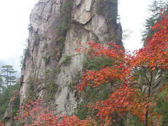 android_upload_pic-大明山自然探索公园