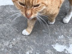 -申鑫大厦