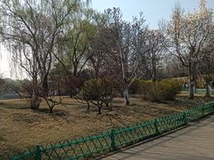-燕郊植物园