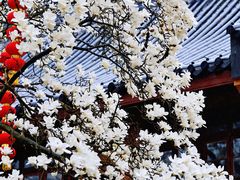 -杭州上天竺法喜讲寺