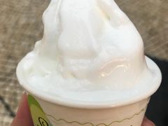 -柠檬车露(卖草地店)