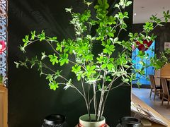 -Tuna maki寿司(园区永旺店)