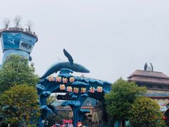 -杭州长乔极地海洋公园