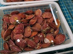 -和源祥·日照菜扛把子(万平口一店)