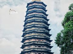 -中华恐龙园
