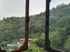 -鲤鱼塘农家山庄