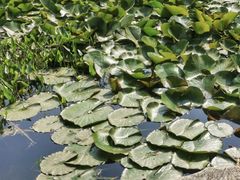 -济南植物园