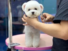 -FAELING PETS美天灵宠物(富力广场店)