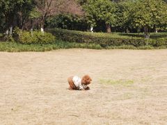 -杭州城北体育公园