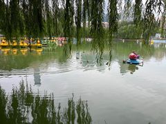 -团结湖公园
