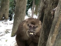 -太阳湾风景区