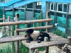 -大连森林动物园