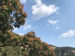 -北京上方山国家森林公园