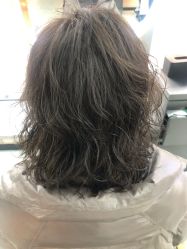 -世田造型