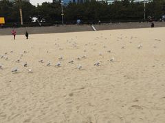 -海云台海滩