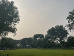-御林古桑园