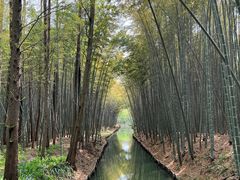 -同里国家湿地公园