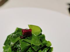 炝炒山苏叶-许家菜(望江店)