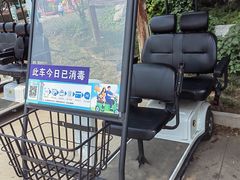 -塘沽森林公园