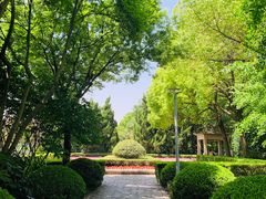-嘉定紫藤园