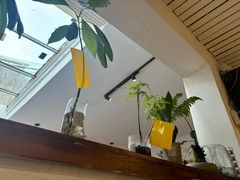 -沏点Trattoria意大利餐厅(新街口店)