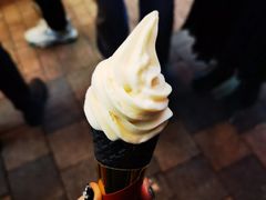 豆乳冰淇淋-仙境豆夫(步行街旗舰店)