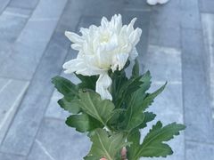 -侵华日军南京大屠杀遇难同胞纪念馆-停车场