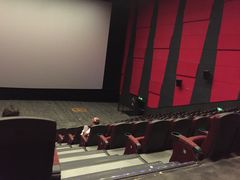 -上影国际影城(普陀绿地缤纷城店)