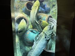 -太平洋海底世界