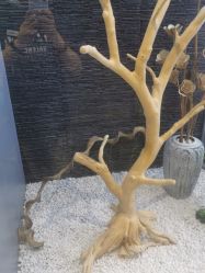 -木北造型