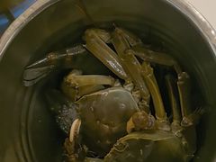 -海玥荟海鲜姿造自助餐厅(欧罗巴广场店)