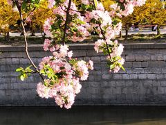 -海棠花溪(元大都城垣遗址公园)