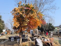 -HERRE·FARM 赫尔露营农场·团建聚会包场