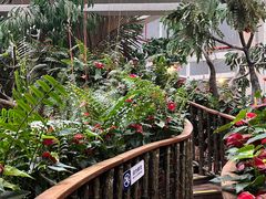 -正佳雨林生态植物园