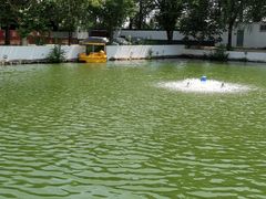 -向外鱼乐·土菜·虹鳟鱼