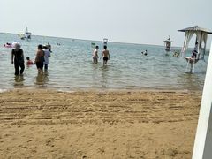 -碧海金沙