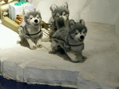 -成都泰迪熊博物馆