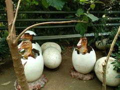 -呀路古热带植物园-恐龙馆