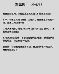 -Fundi张玉珊修身堂·indiba·BTL科技瘦身