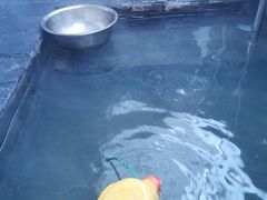 -北京美神宫艺术主题温泉酒店